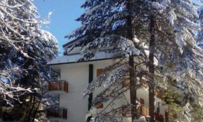 Camigliatello Apartment | Apartment "LA SCALETTA BLU"
