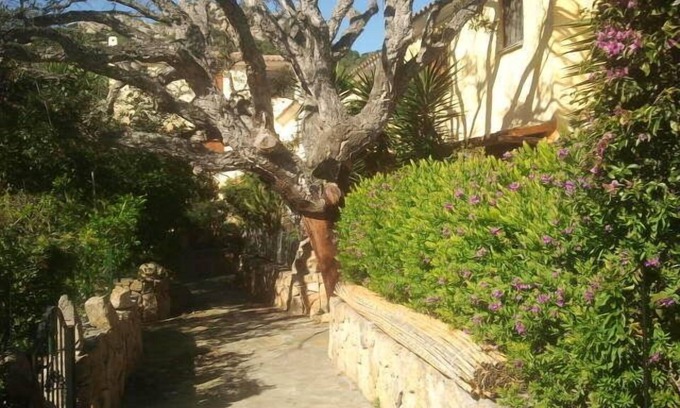 Vaccileddi Apartment | Apartment/flat - Loiri Porto San Paolo