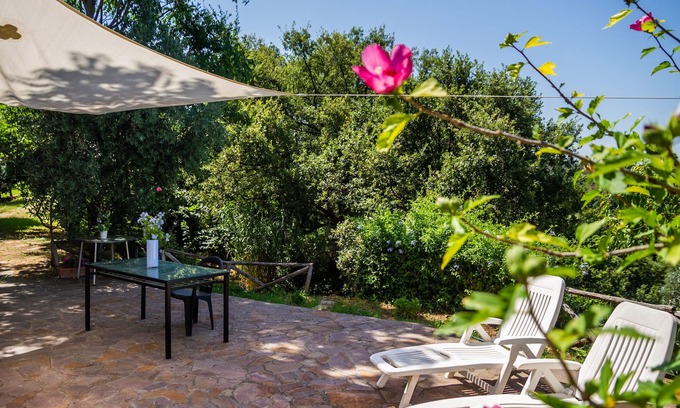 Scansano Apartment | Apartment "La Casa nel Frutteto" with Private Garden