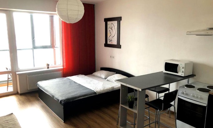 Yekaterinburg Apartment | Apartment Olkhovsky Park