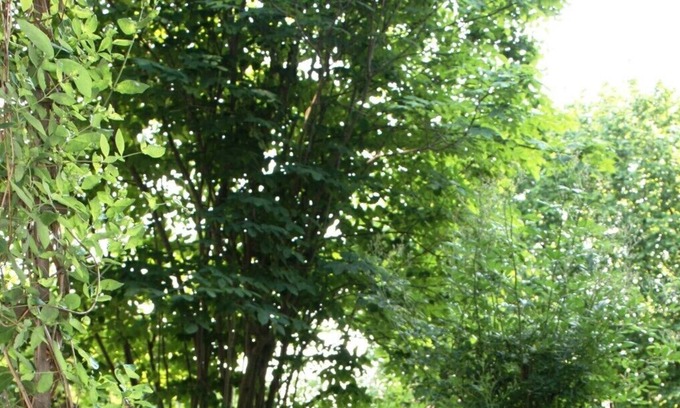 Riedering Apartment | Apartment on the ground floor with garden, pleasant atmosphere