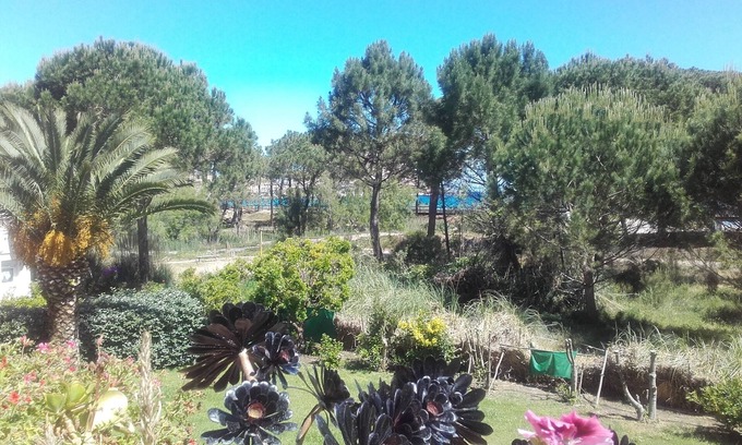 Calvi Apartment | Apartment with terrace, sea and garden view Linen and final cleaning included