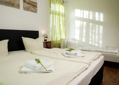 Mickten Apartment | Apartmenthaus Sternstraße