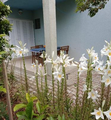 Cove Tri Zala (Zrnovo) Apartment | Apartments Blue House
