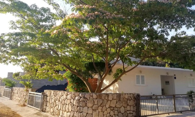 Kobas Apartment | Apartments by the sea Cove Saplunara, Mljet - 4896