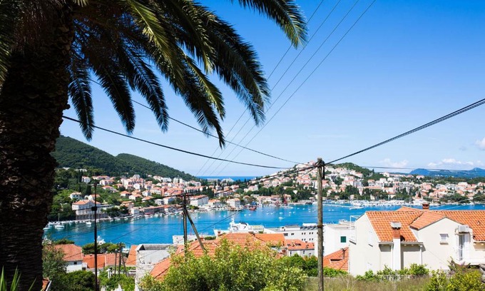 Gruz Apartment | Apartments Dubrovnik Palm Tree Paradise