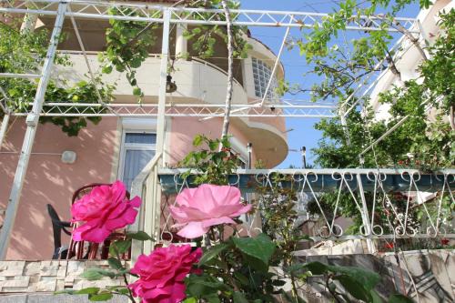 Susanj Apartment | Apartments Green Belt