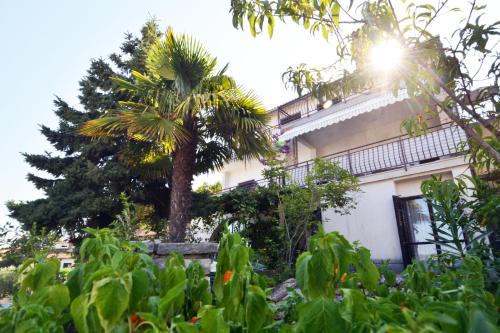 Pjescana Uvala Apartment | Apartments Maruzin