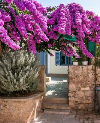 Veli Losinj Apartment | Apartments Relax