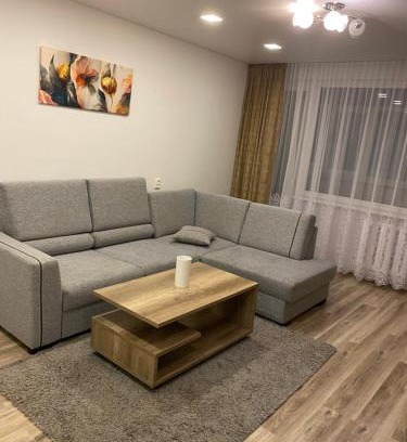 Panevezys Apartment | Apartments Victoria