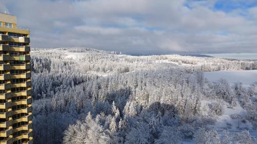 Braunlage Apartment | App 350 mit Brockenblick