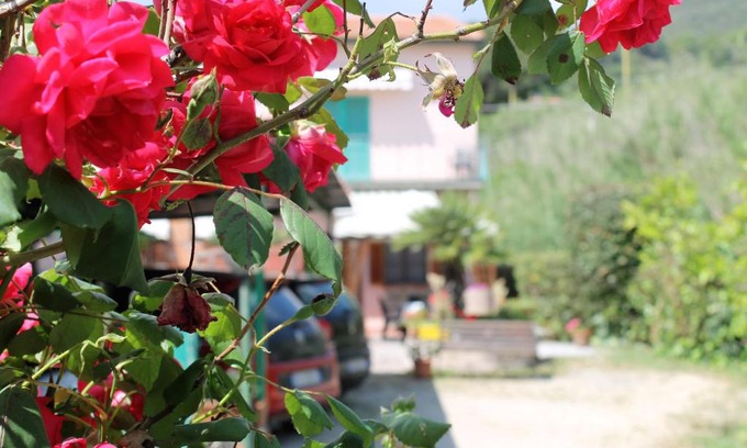 Portoferraio Apartment | Appartamenti Val di Denari