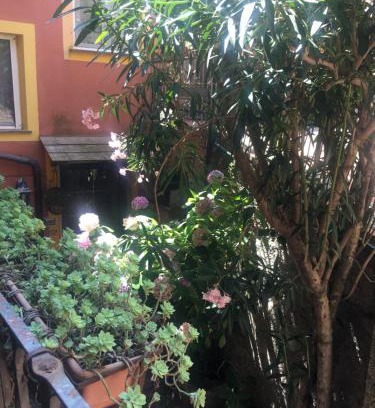 Lavaggiorosso Apartment | Appartamento Fiordaliso