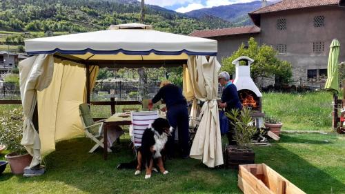 Pila House | appartamento signorile con giardino
