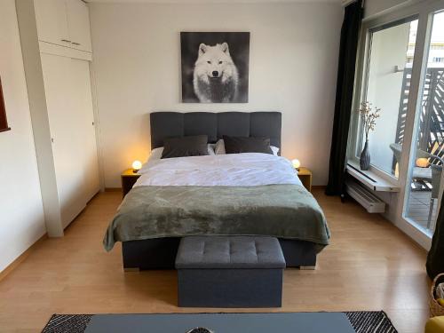 Fribourg Apartment | Appartement 1,5 pces