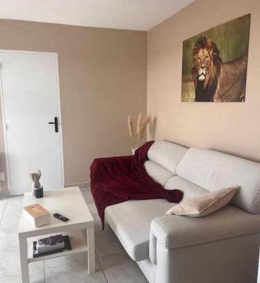 Tarbes Apartment | Appartement spacieux à Tarbes