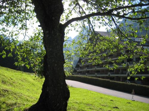 Vionnaz Apartment | Appartement voor wandel of ski vakantie in Torgon Portes du Soleil