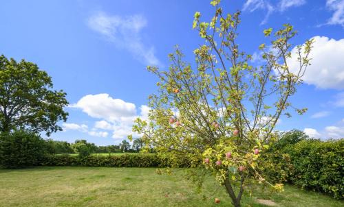 Martin Villa | APPLEDOWN - Secluded Rural Retreat in Kingsdown, 10 mins to BEACH