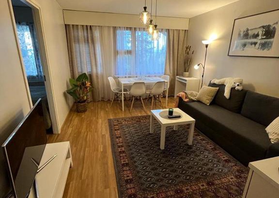 Rovaniemi Apartment | APt 37