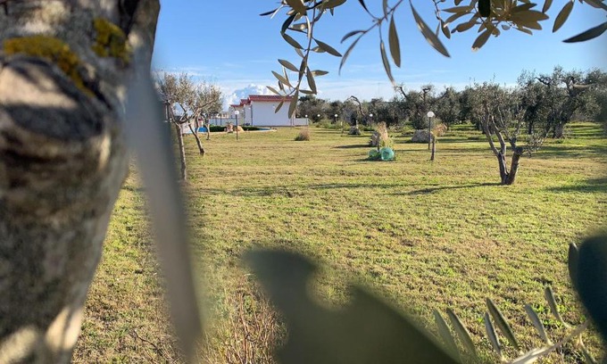 Boncore Bed & Breakfast | Apulia Maris
