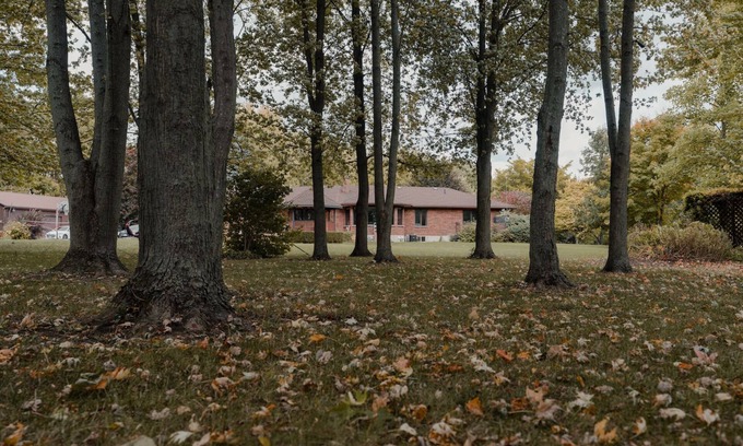 Bayfield Cottage | Aqua Vista Cottage - 10-acre retreat with 1,000 feet of private beachfront
