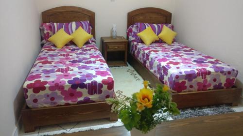 Essaouira Apartment | Araucaria