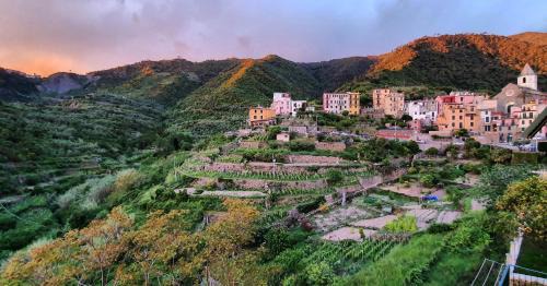 Corniglia House | Arbanella