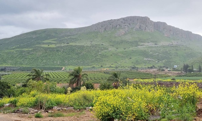Migdal House | Arbel House Apartment