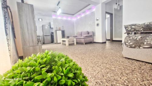 Eforie Nord Apartment | Ariana Luxury Apartament - Eforie Nord