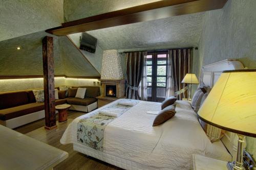 Metsovo Hotel | AROMA DRYOS SPA & ECO Hotel