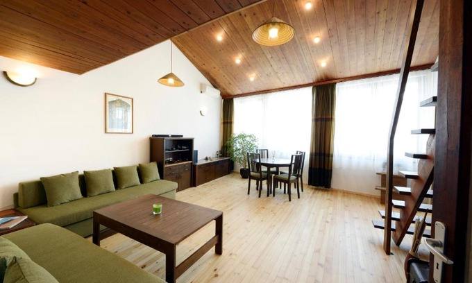 Lozenets Apartment | Artistic penthouse