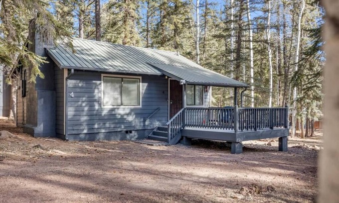 Greer Ski Chalet | Aspen Pine Retreat (4)