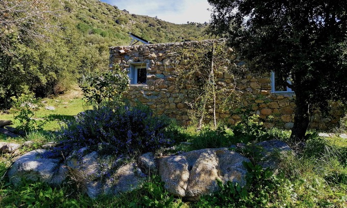 Zilia House | Atypical, restored sheepfold for nature lovers.