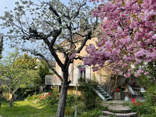 Zuchwil Bed & Breakfast | au jardin
