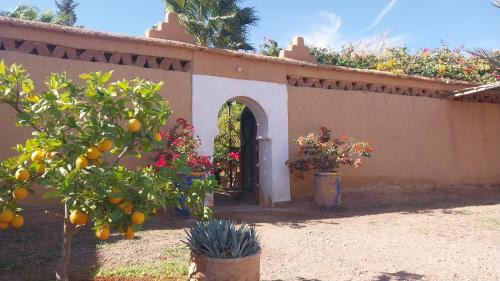 Nekob Bed & Breakfast | Auberge Bassou