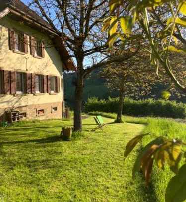 Biederbach Apartment | Auszeit im Waldhaus