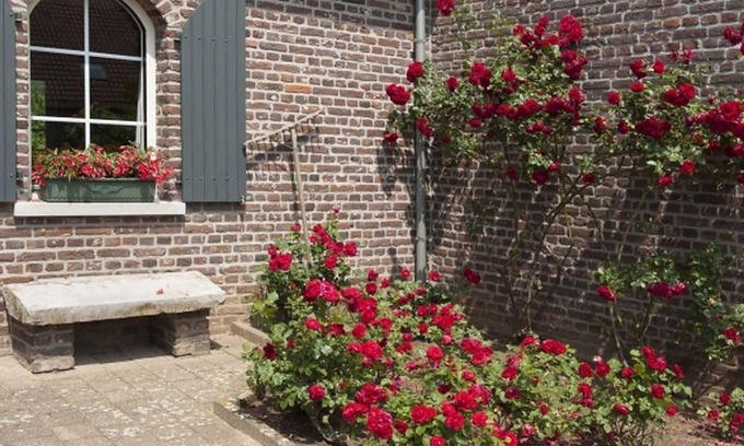 Schafelt House | Authentic Holiday Home in Baarlo with Private Terrace