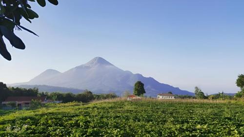 Trawas Hotel | Avila Ketapan Rame Hotel