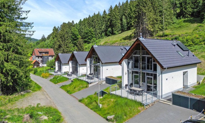 Lautenthal House | Awesome home in Lautenthal with sauna
