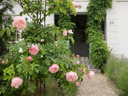 Glemminge House | B&B Österlens RosenTrädgård