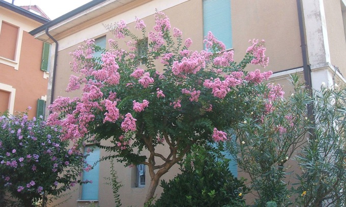 Province of Bologna Bed & Breakfast | B&B Accorsi