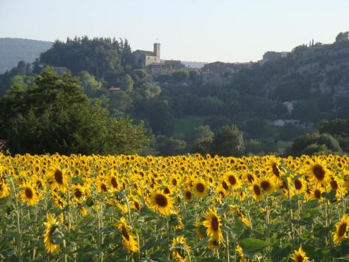 Ampus Bed & Breakfast | B&B Chez Lisa et Jeff