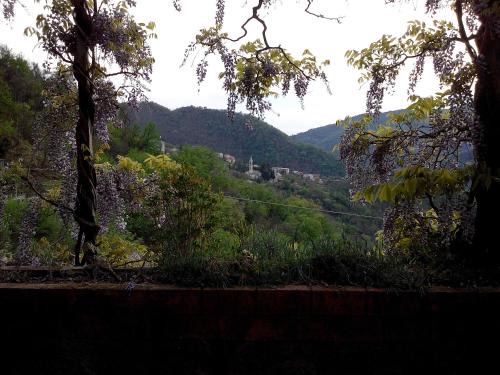 Lupara Bed & Breakfast | B&B I Glicini