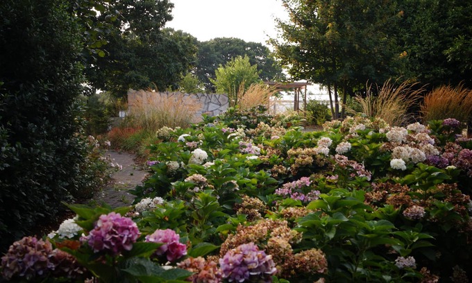 Baarlo Bed & Breakfast | B&B Johannes-Hoeve