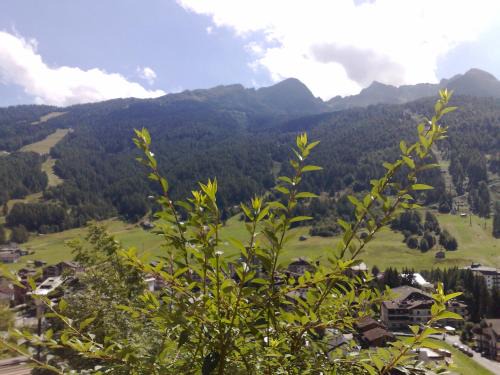 Aprica Bed & Breakfast | B & B Le Riue