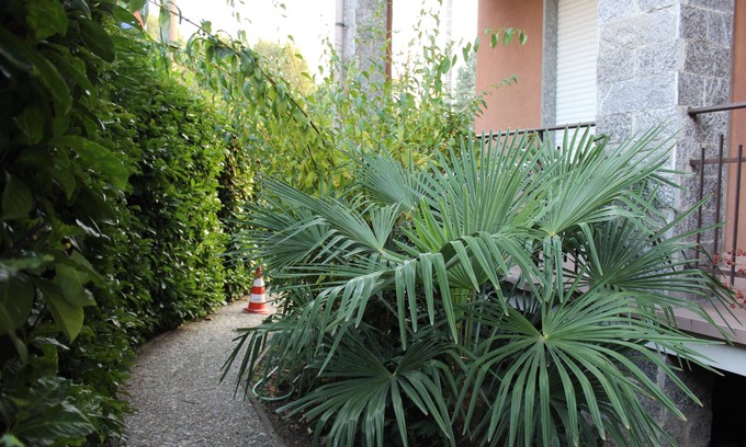 Castano Primo Bed & Breakfast | B&B Milano Malpensa 1