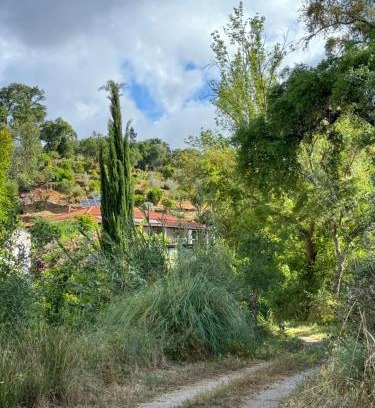 Reliquias Bed & Breakfast | B&B Ronny