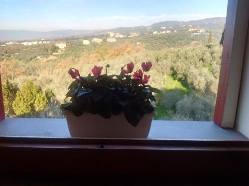 Lamporecchio Bed & Breakfast | B&B Vallata