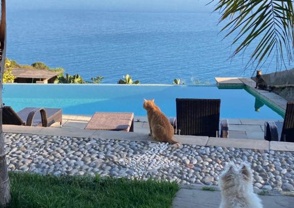 Ventimiglia Bed & Breakfast | B&Bilfortesulmare