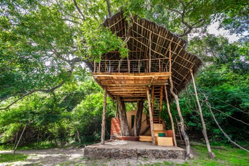 Dambulla Cabin | Back of Beyond - Wild Haven